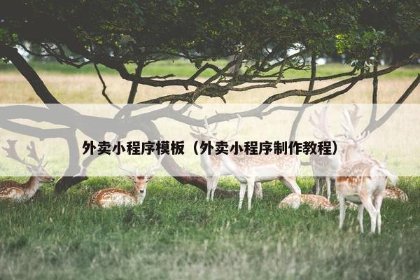 外卖小程序模板（外卖小程序制作教程）