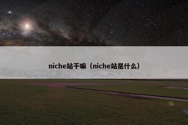 niche站干嘛（niche站是什么）