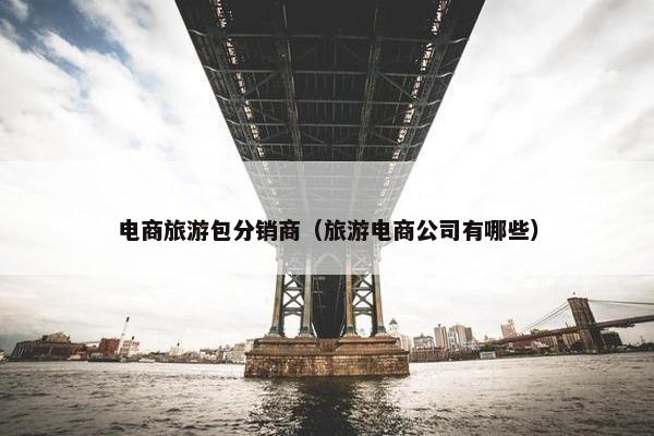 电商旅游包分销商（旅游电商公司有哪些）