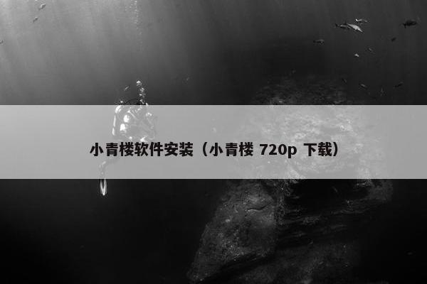 小青楼软件安装（小青楼 720p 下载）
