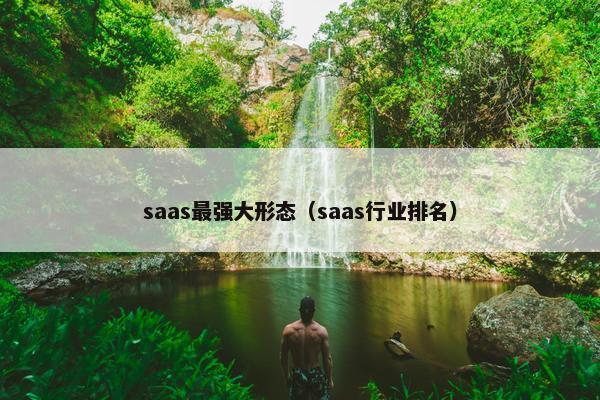 saas最强大形态（saas行业排名）