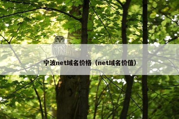 宁波net域名价格（net域名价值）