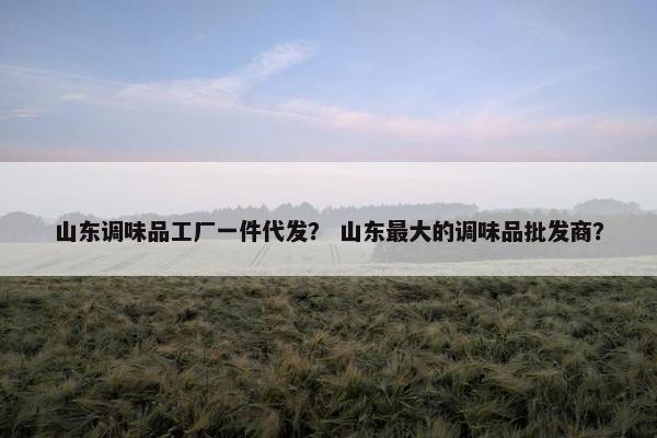 山东调味品工厂一件代发？ 山东最大的调味品批发商？