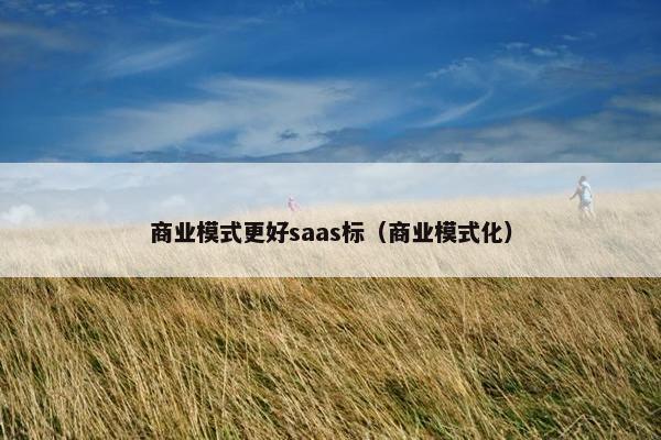 商业模式更好saas标（商业模式化）