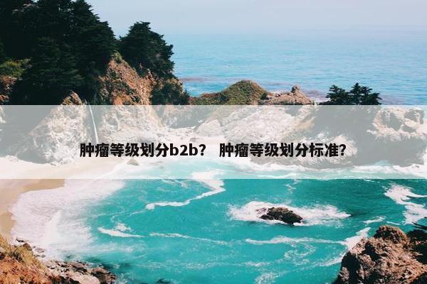 肿瘤等级划分b2b？ 肿瘤等级划分标准？