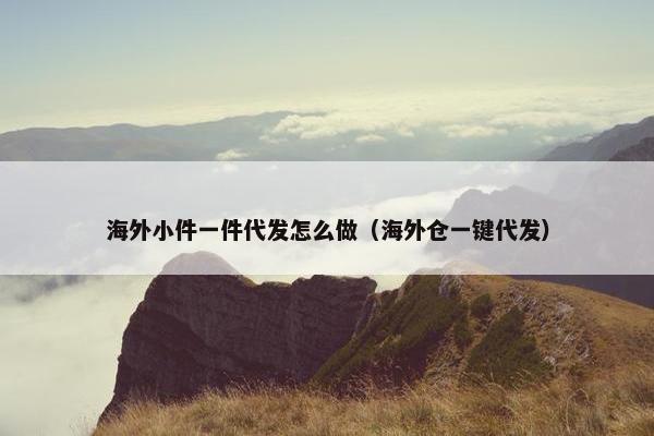 海外小件一件代发怎么做（海外仓一键代发）