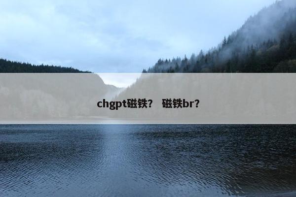 chgpt磁铁？ 磁铁br？