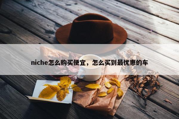 niche怎么购买便宜，怎么买到最优惠的车