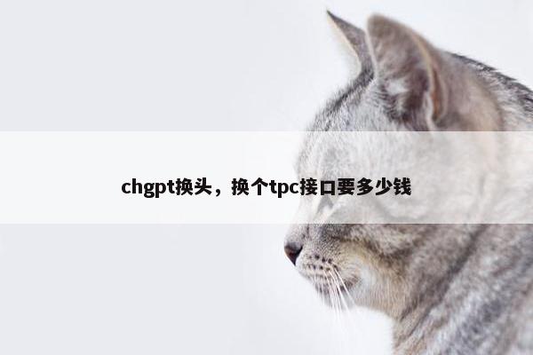chgpt换头，换个tpc接口要多少钱