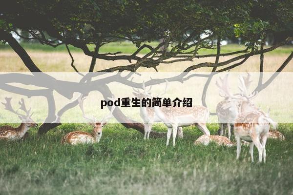 pod重生的简单介绍