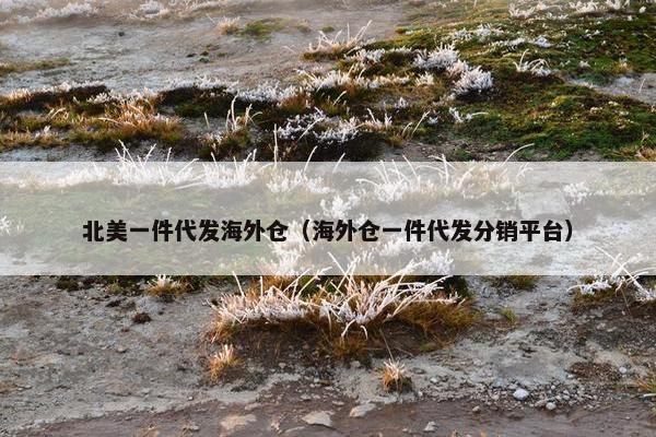 北美一件代发海外仓（海外仓一件代发分销平台）