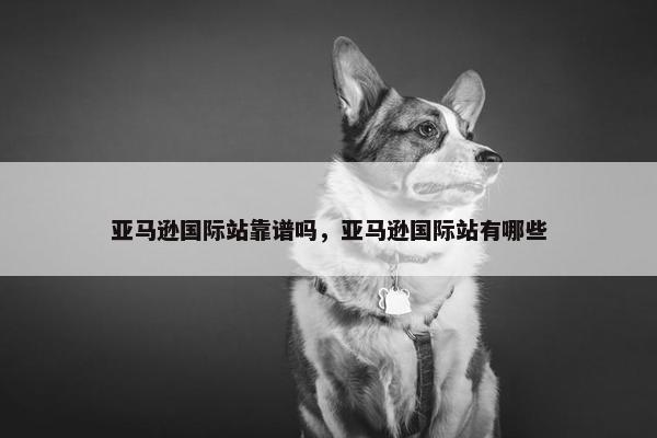 亚马逊国际站靠谱吗，亚马逊国际站有哪些