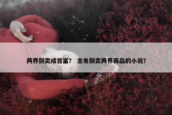 两界倒卖成首富？ 主角倒卖两界商品的小说？