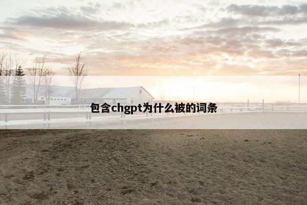 包含chgpt为什么被的词条