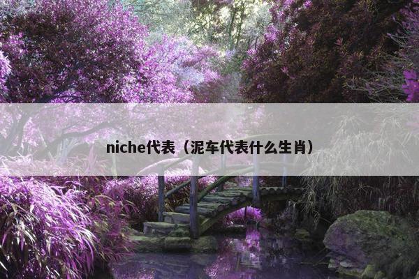 niche代表（泥车代表什么生肖）