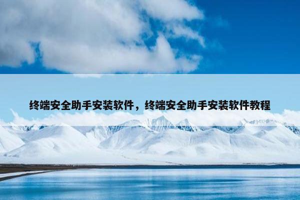 终端安全助手安装软件，终端安全助手安装软件教程