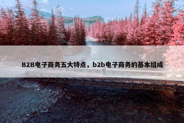 B2B电子商务五大特点，b2b电子商务的基本组成