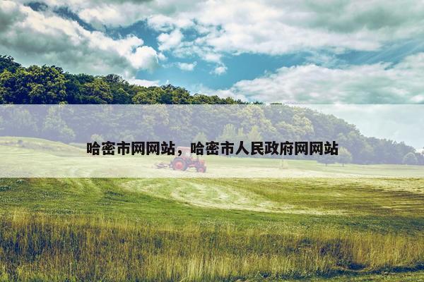 哈密市网网站，哈密市人民政府网网站