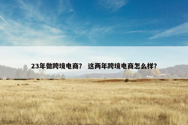 23年做跨境电商？ 这两年跨境电商怎么样？
