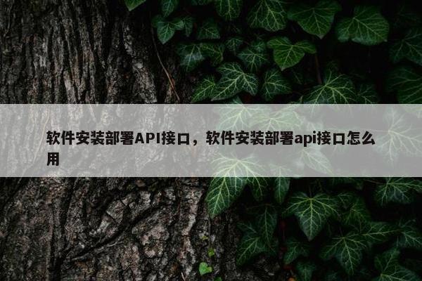软件安装部署API接口，软件安装部署api接口怎么用