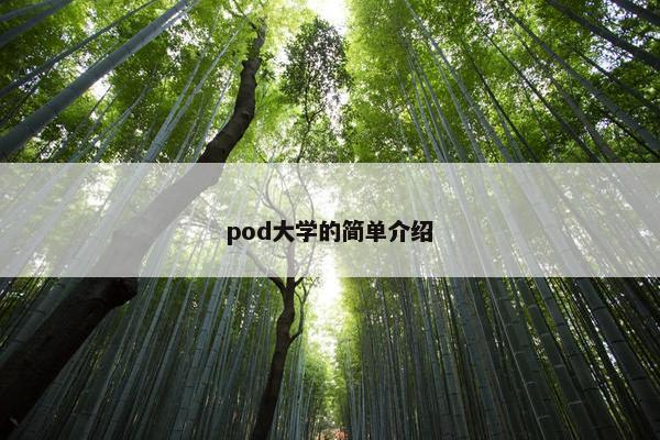 pod大学的简单介绍