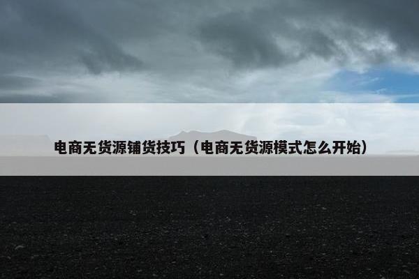 电商无货源铺货技巧（电商无货源模式怎么开始）