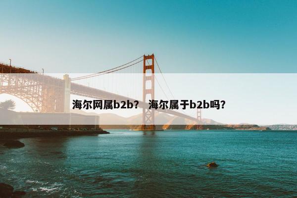 海尔网属b2b？ 海尔属于b2b吗？