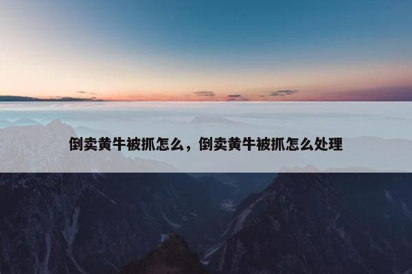倒卖黄牛被抓怎么，倒卖黄牛被抓怎么处理