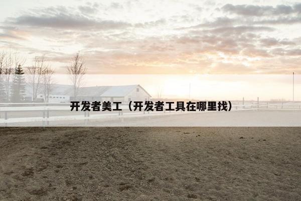 开发者美工（开发者工具在哪里找）