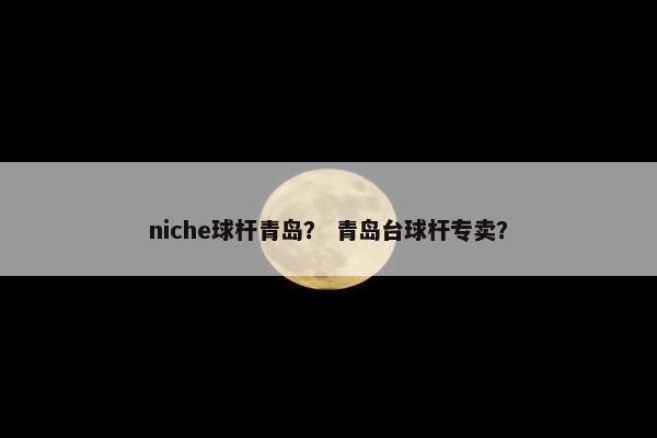 niche球杆青岛？ 青岛台球杆专卖？