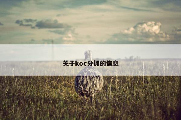关于koc分佣的信息