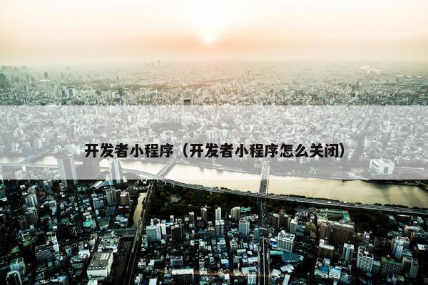 开发者小程序（开发者小程序怎么关闭）