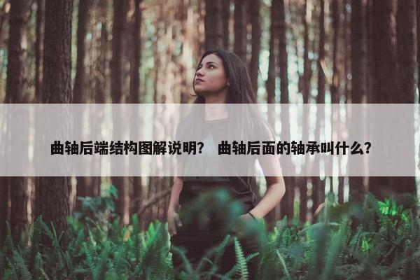 曲轴后端结构图解说明？ 曲轴后面的轴承叫什么？