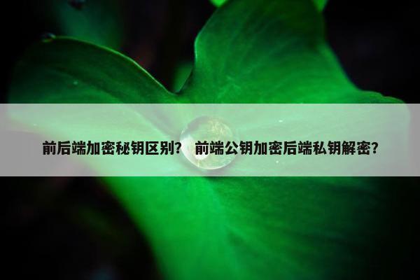 前后端加密秘钥区别？ 前端公钥加密后端私钥解密？