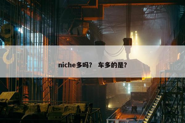niche多吗？ 车多的是？