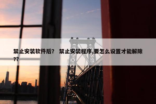 禁止安装软件后？ 禁止安装程序,要怎么设置才能解除?？