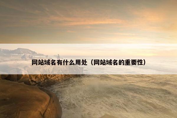 网站域名有什么用处（网站域名的重要性）
