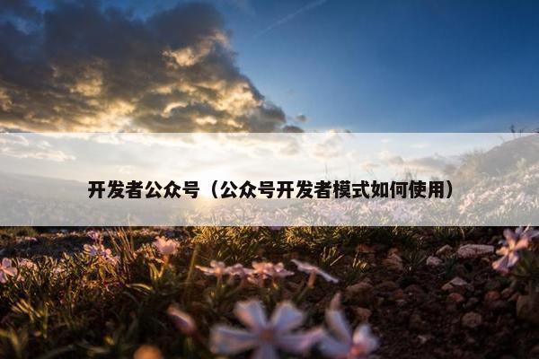 开发者公众号（公众号开发者模式如何使用）