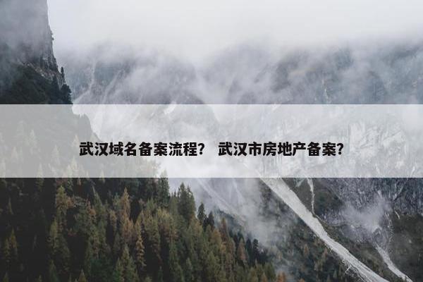 武汉域名备案流程？ 武汉市房地产备案？