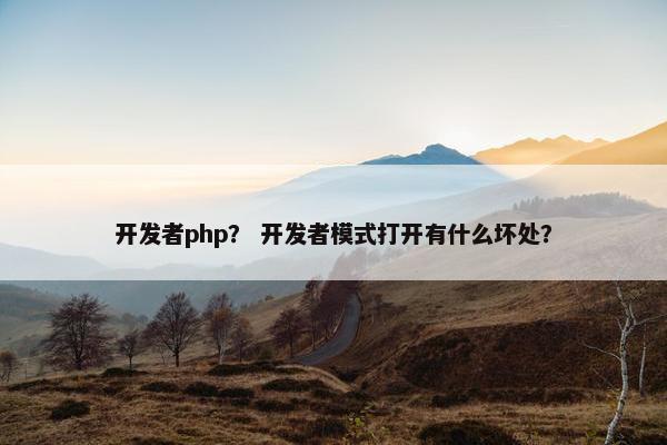开发者php？ 开发者模式打开有什么坏处？