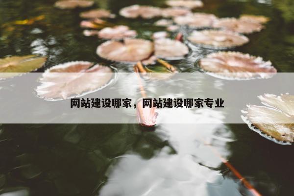 网站建设哪家，网站建设哪家专业