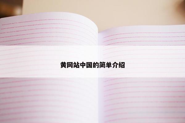 黄网站中国的简单介绍