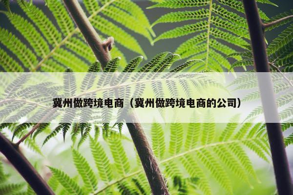 冀州做跨境电商（冀州做跨境电商的公司）