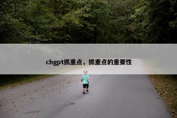 chgpt抓重点，抓重点的重要性