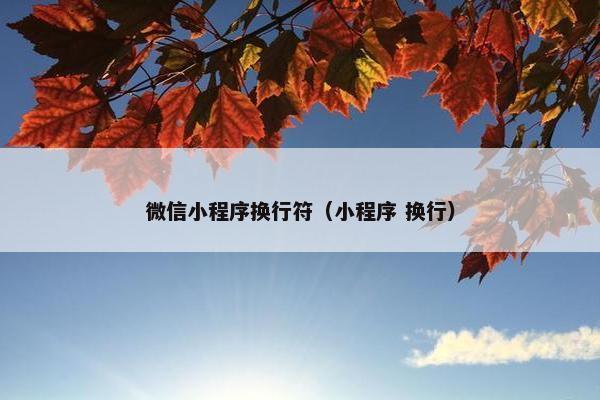 微信小程序换行符（小程序 换行）