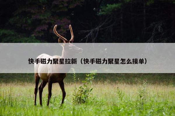 快手磁力聚星拉新（快手磁力聚星怎么接单）
