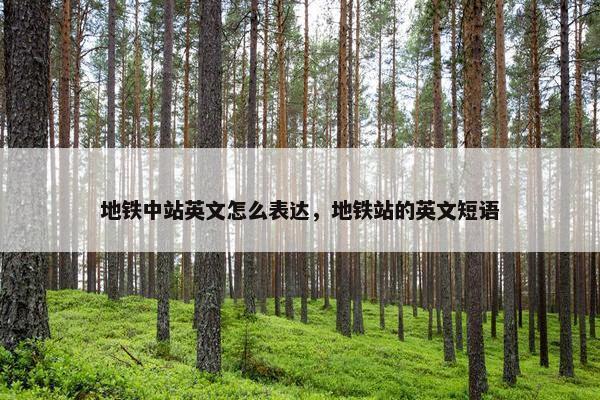 地铁中站英文怎么表达，地铁站的英文短语