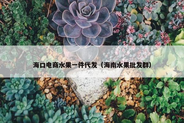 海口电商水果一件代发（海南水果批发群）