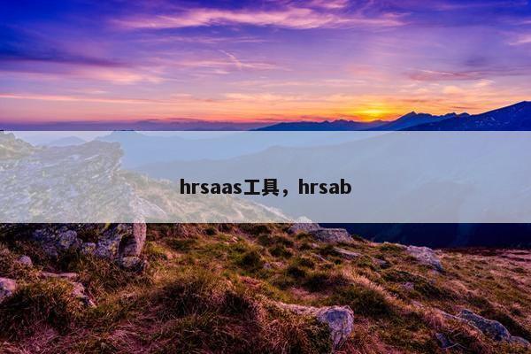 hrsaas工具，hrsab