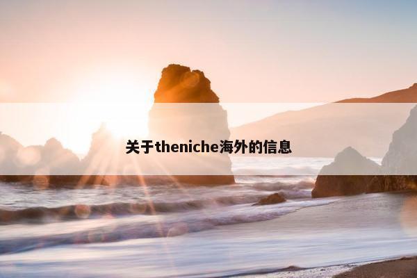 关于theniche海外的信息